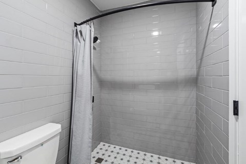 a bathroom with a shower and a toilet